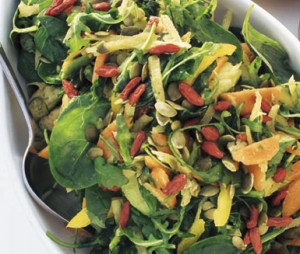 658683-Josefines_supersallad-josefin_supersallad_B