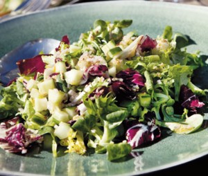 669694-Gurksallad_med_sesamfr-n-gurksallad_B0509