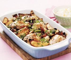 678068-Allt_i_ett-kyckling-alltiettkyckling_B0809