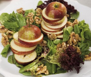 683393-Enkel_-ppelsallad_med_honungsvin-grett-appe